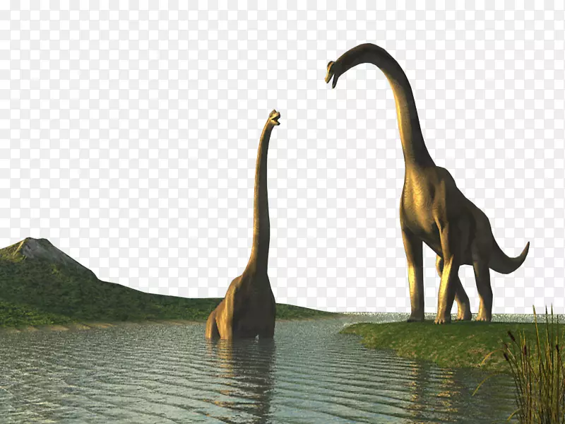 恐龙野生动物截图广告-恐龙