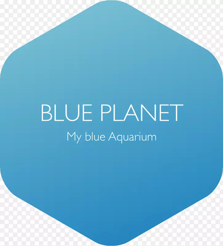 软件开发商标志绿松石-蓝色星球