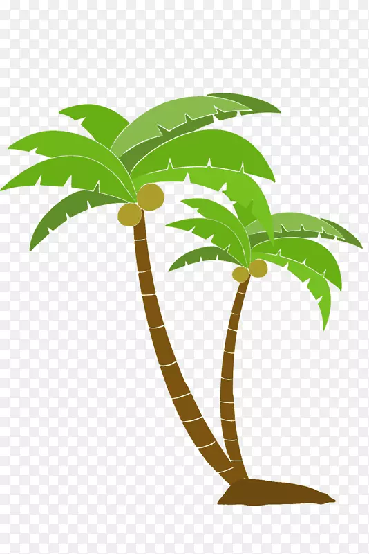 槟榔科木本植物椰子树载体