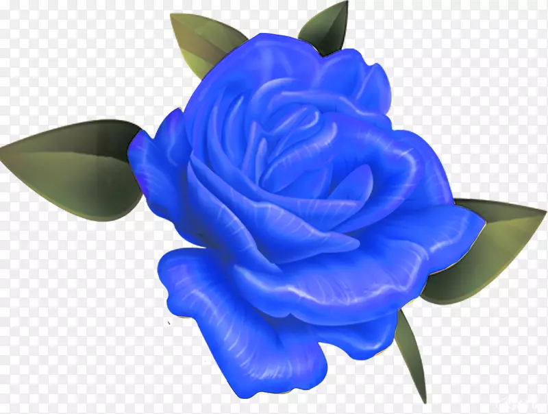 蓝色玫瑰花园玫瑰花-蓝绿色