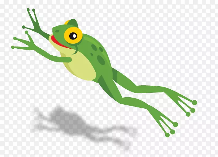 真正的青蛙两栖树蛙脊椎动物-跳跃