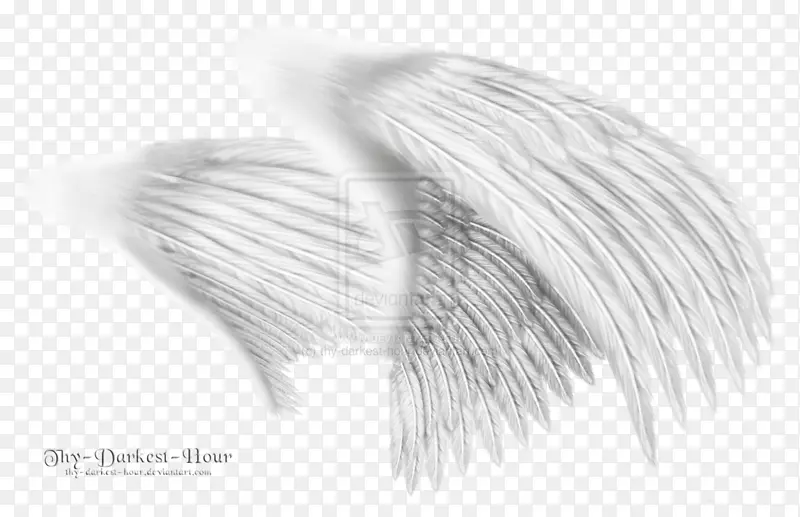 天使剪贴画-白色翅膀