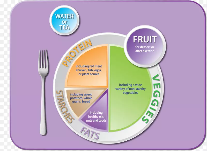 我的盘子食品金字塔健康饮食均衡饮食