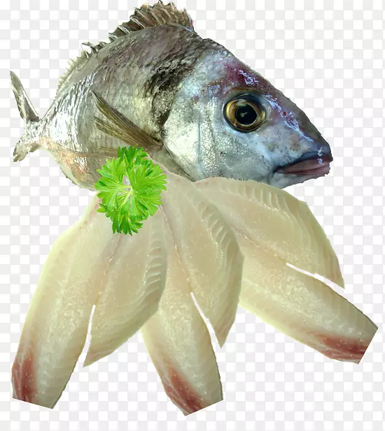 生鱼片鱼海鲜鱼片鱿鱼作为食物新鲜鲑鱼