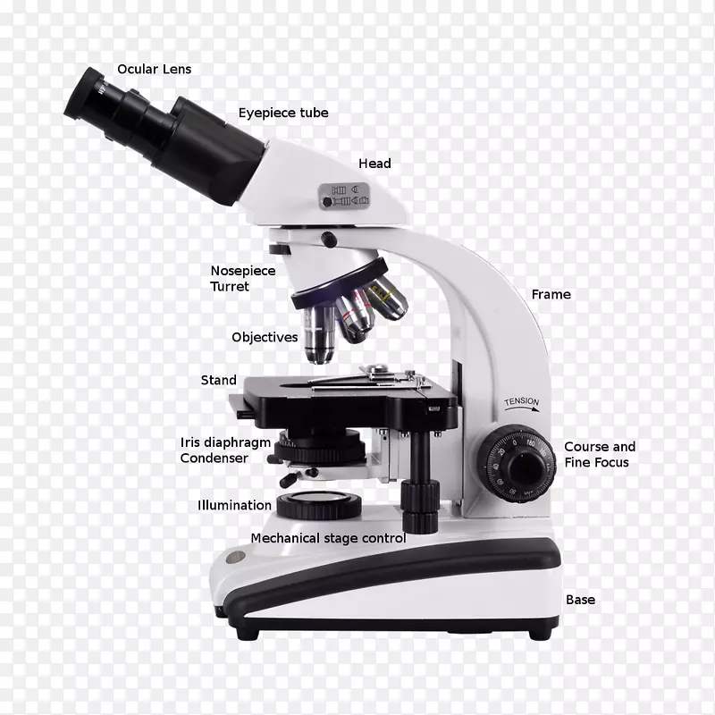 光学显微镜，数字显微镜，扫描电子显微镜，立体显微镜