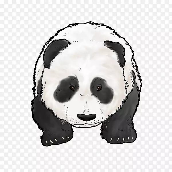 大熊猫熊嘴食肉动物-熊猫宝宝