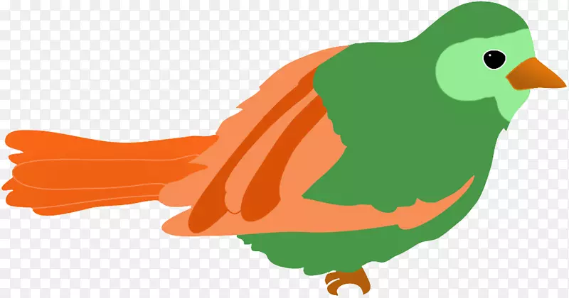 鸟雀画片艺术-绿色橙色