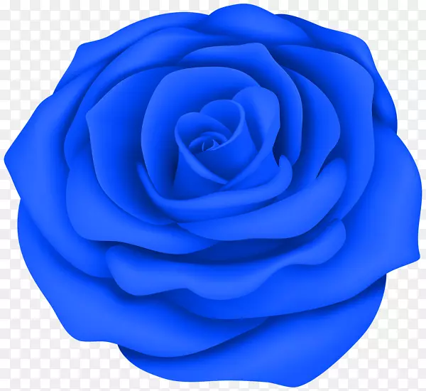 蓝玫瑰桌面壁纸夹艺术-蓝色玫瑰