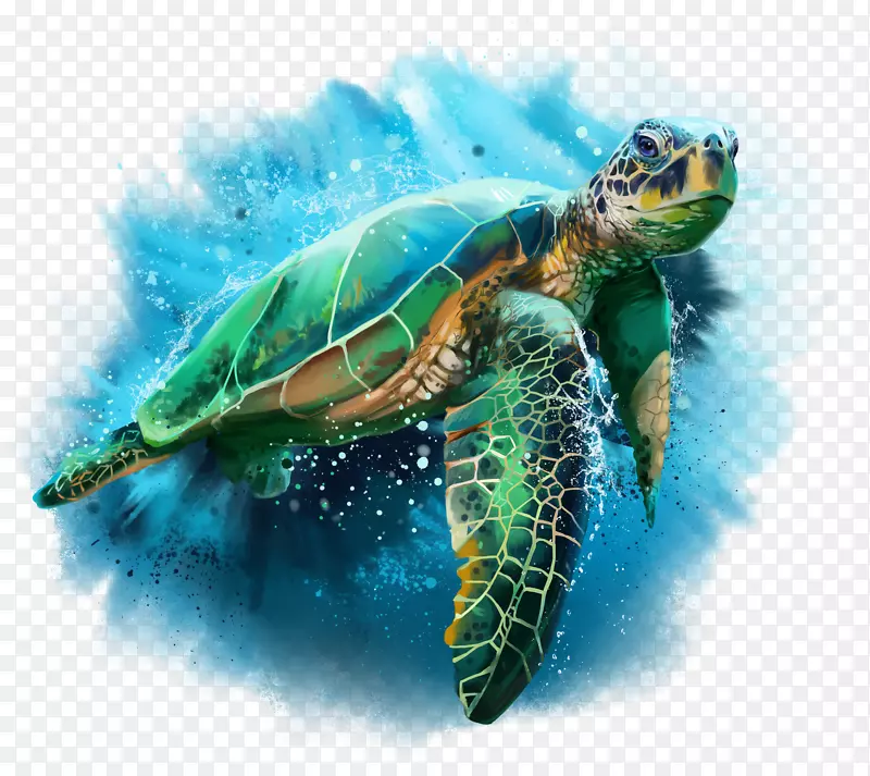 龟画水彩画龟蓝海