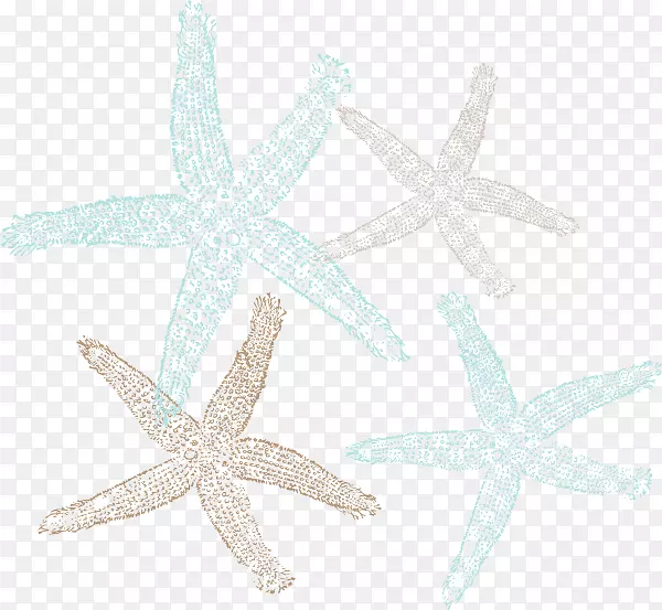海洋无脊椎动物海星棘皮动物海星载体