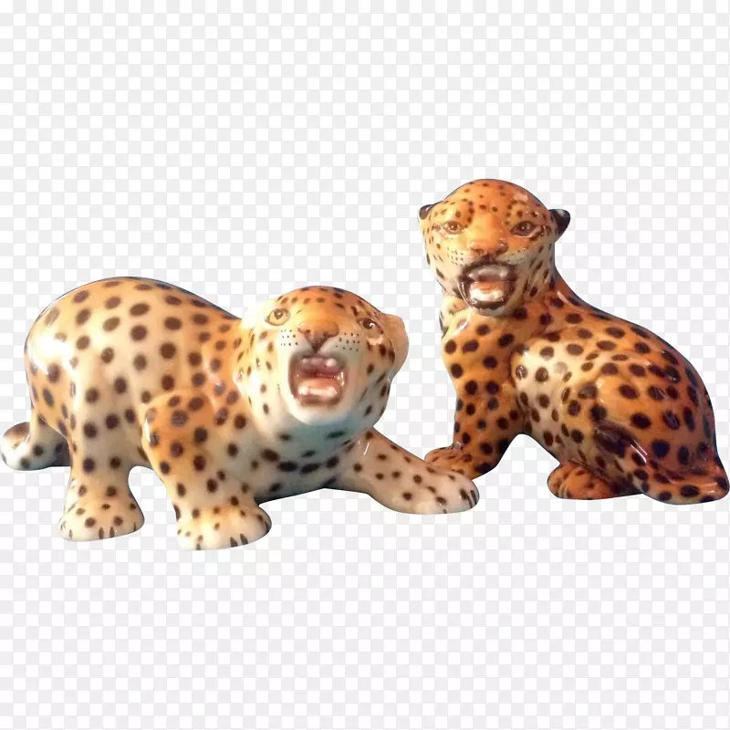 猎豹猫美洲虎手绘动物