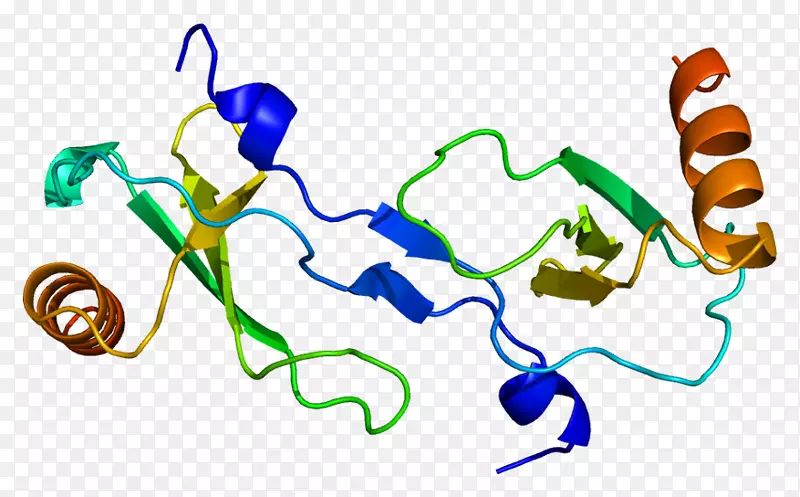 趋化因子2单核细胞蛋白细胞因子数据结构