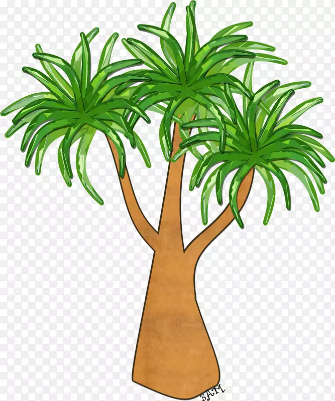 木本植物槟榔科植物茎棕榈林
