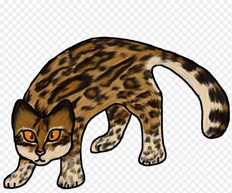 西洛野猫猎豹美洲虎衬衫埃及