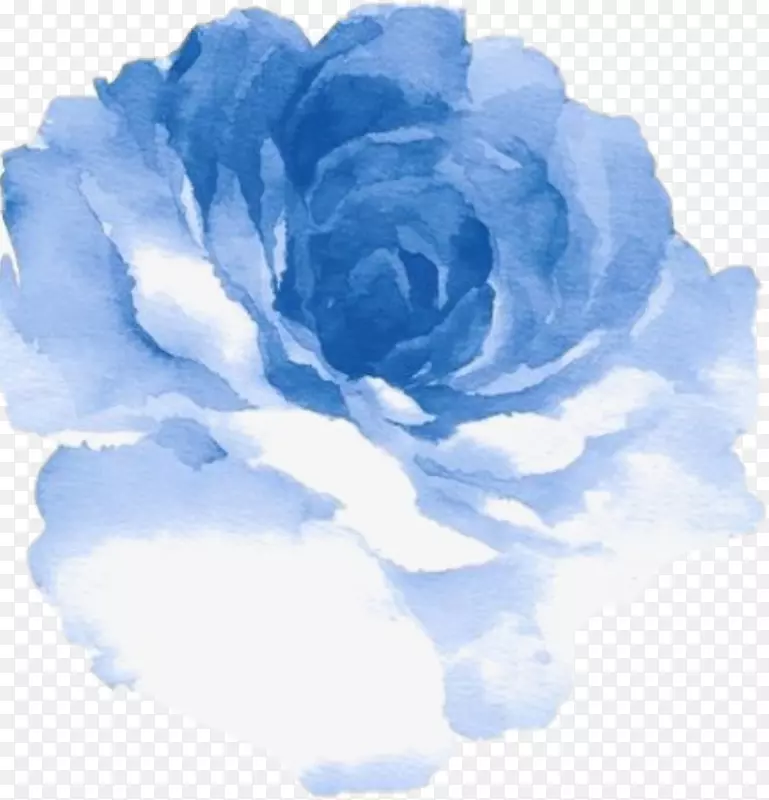 水彩画蓝色玫瑰水彩画蓝色花卉装饰手绘