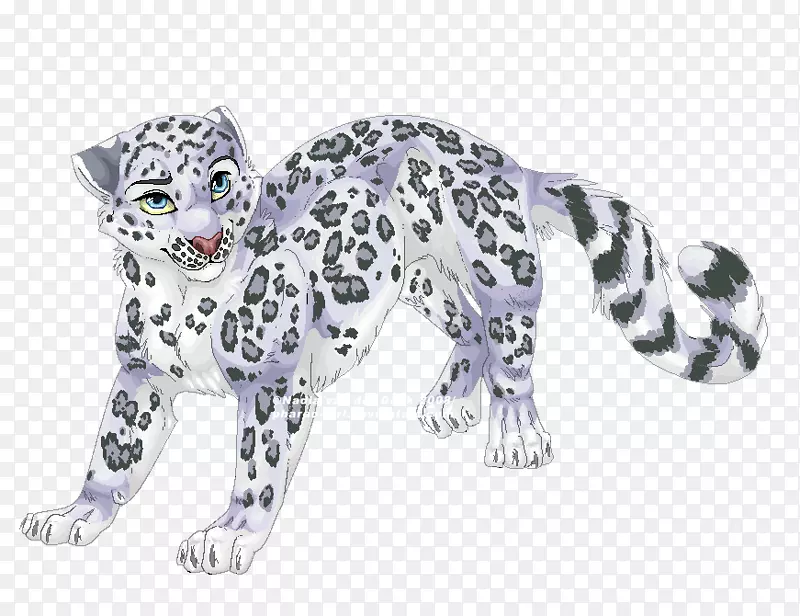 雪豹猫科猎豹狮子云彩