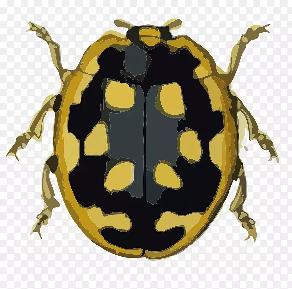 甲虫图形设计-七星瓢虫动物