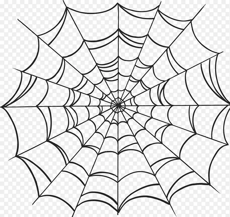 蜘蛛网绘图-蜘蛛