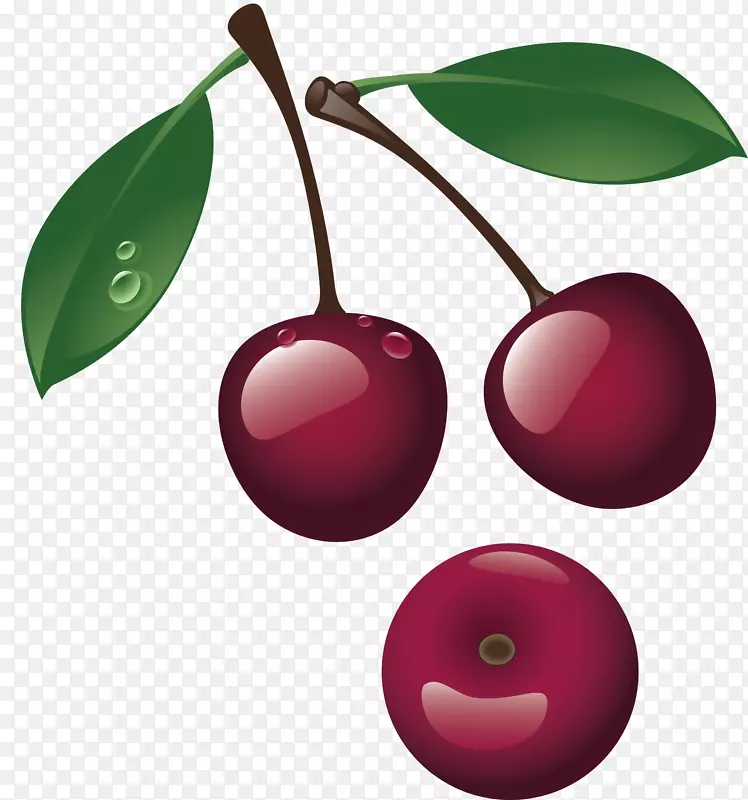 樱桃食品水果浆果封装后记-樱桃