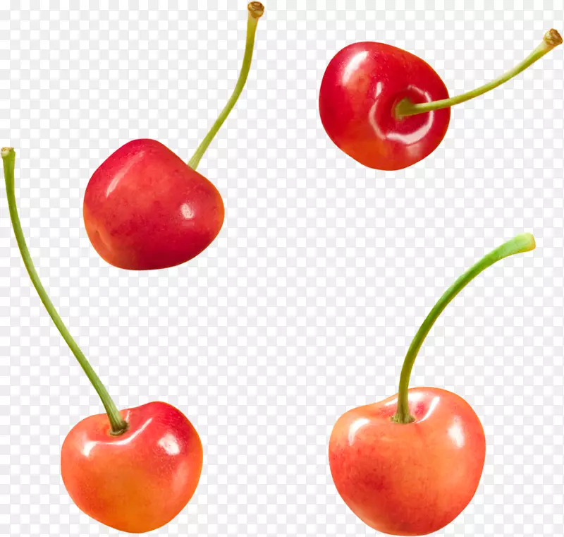 巴巴多斯樱桃食品水果剪贴画-樱桃