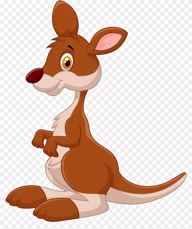 考拉澳大利亚袋鼠-考拉