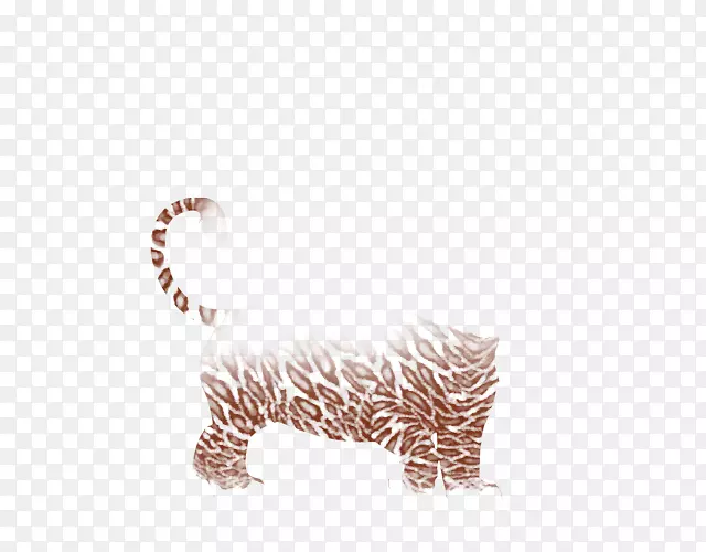 大猫身珠宝毛皮野生动物-火狮