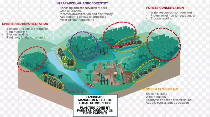 农林复合造林资源-泰国景观