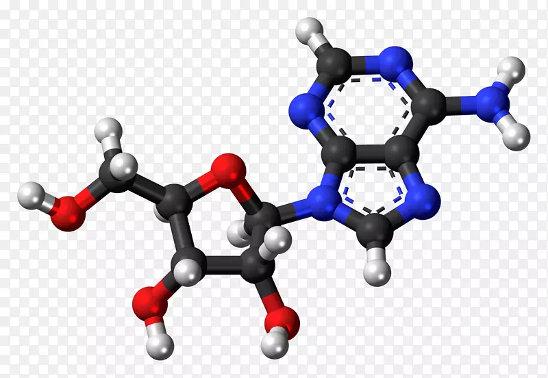 单磷酸腺苷二磷酸腺苷三磷酸焦磷酸腺苷显色史
