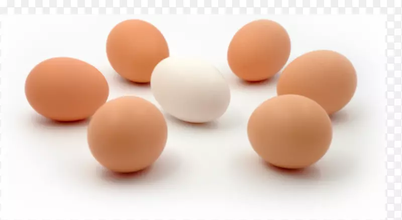 蛋清-家禽蛋
