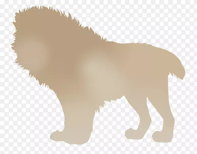 犬种狮子小狗猎豹-石狮
