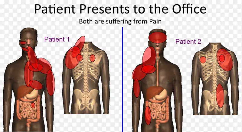 疼痛，肩部问题，肝脏，肌肉-躯体