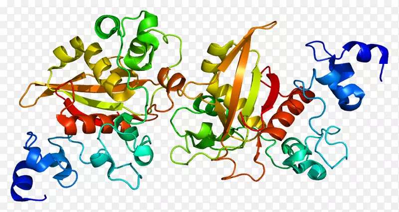 缺口2信号通路基因缺口蛋白dll 3-表达