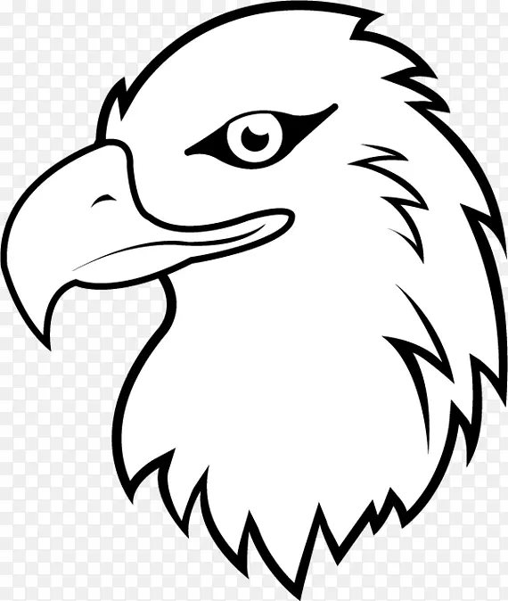 秃鹰-白尾鹰动画剪辑艺术-可爱的鹰