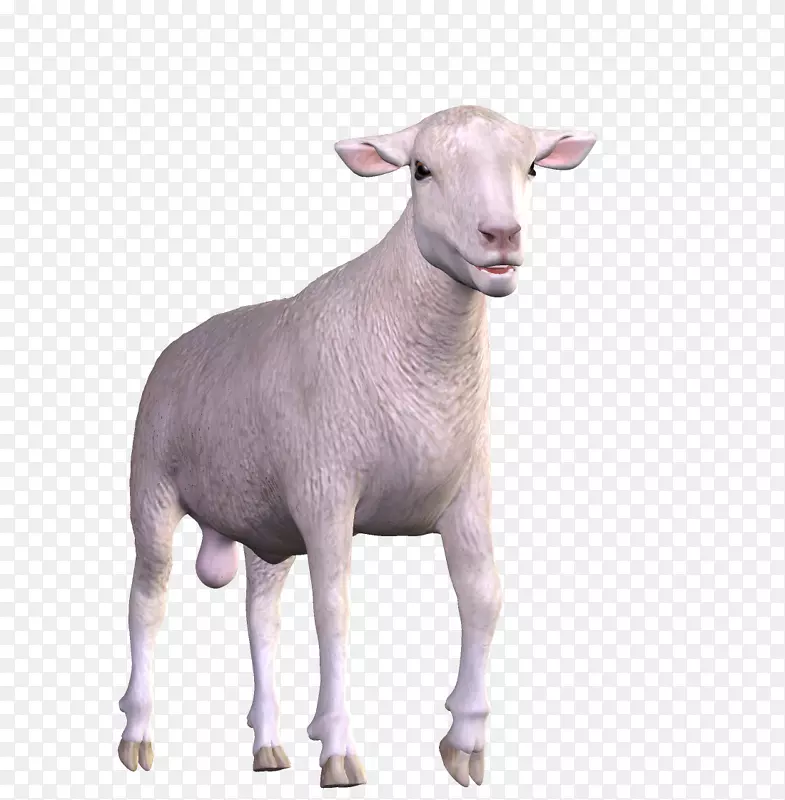 山羊动物复活节-山羊