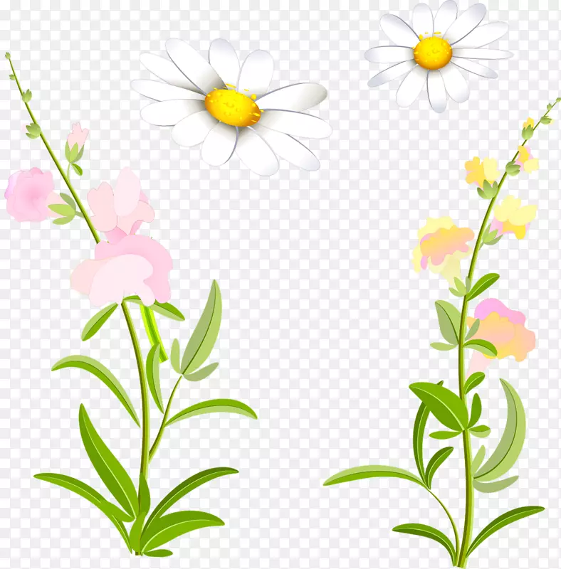 花卉设计切花植物茎野花