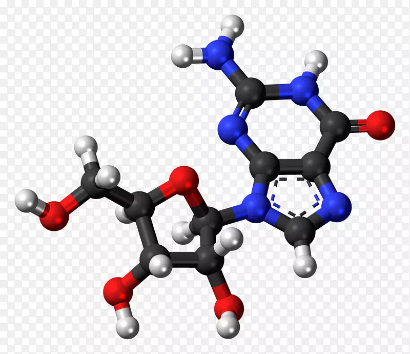 脱氧腺苷三磷酸腺苷二磷酸球棒模型-模型