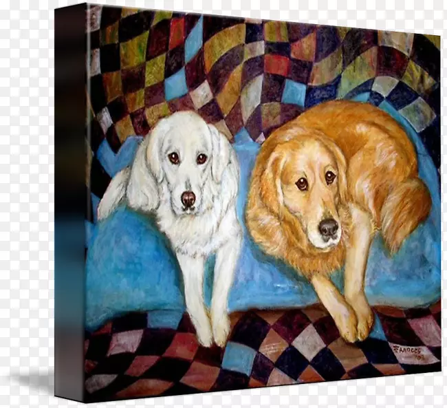 金毛猎犬拉布拉多猎犬品种画-狗画