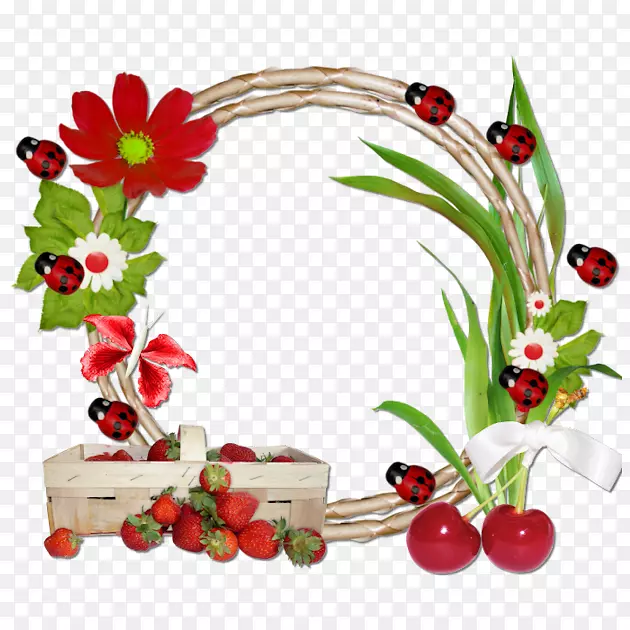 拼贴花卉设计水果蒙太奇德罗莎-水果边界