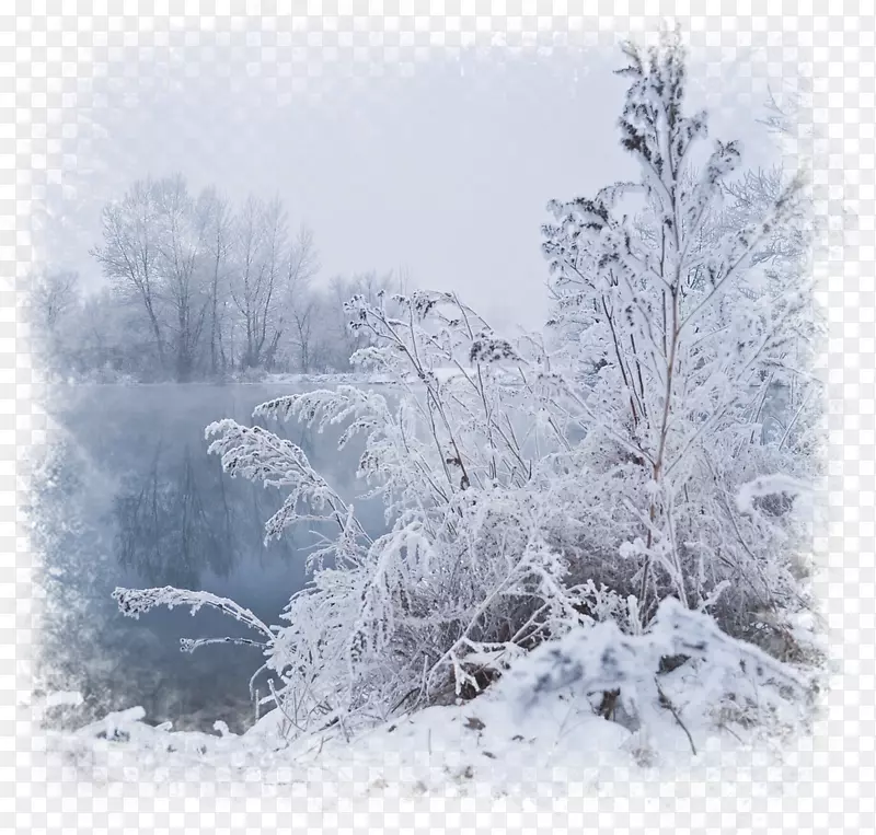 冬季雾桌面壁纸-冬季场景