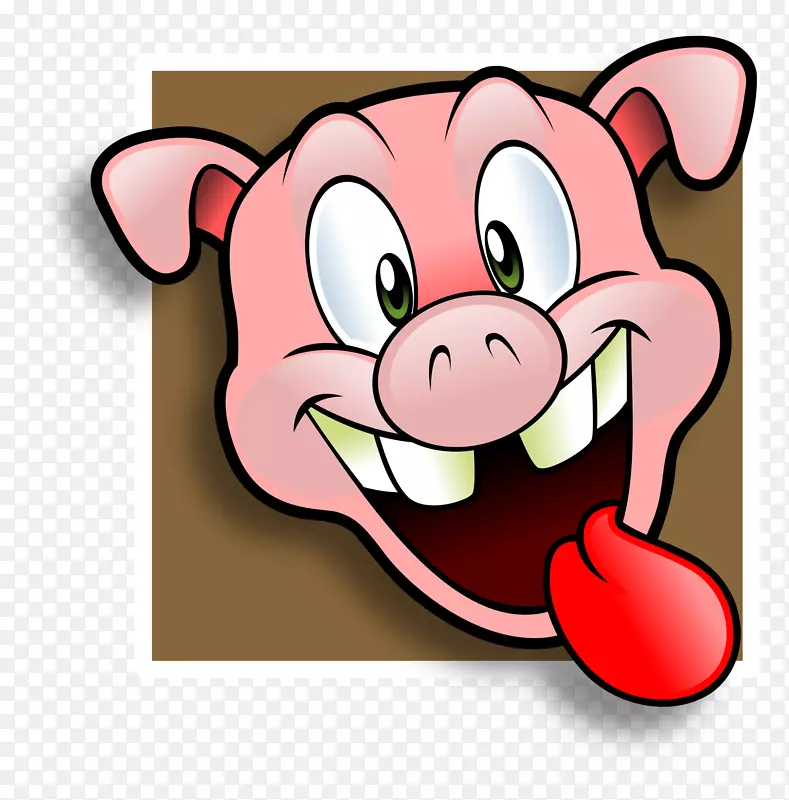 拉猪肉，家猪排骨，猪烤猪