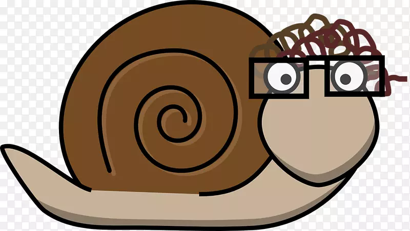 蜗牛腹足壳贝壳夹艺术-蜗牛