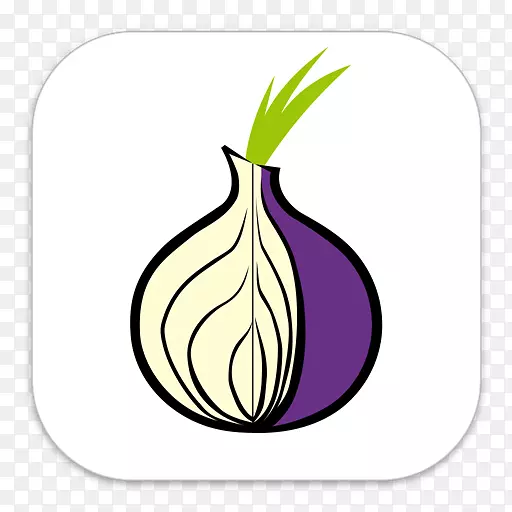 Tor网页浏览器黑暗网页匿名浏览