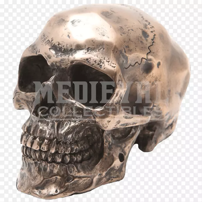 人类头骨象征人类骨骼青铜树脂铸造头骨维京