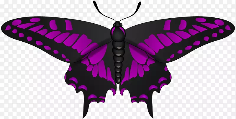 复活节兔子蝴蝶复活节彩蛋夹艺术-紫色黑洞