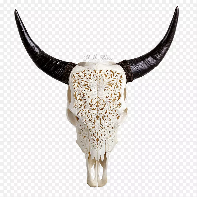 得克萨斯州长角动物头骨英国长角动物头骨