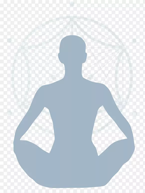 瑜伽仙人掌-体验瑜伽课程