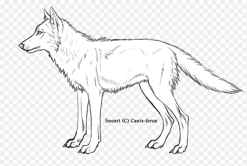 灰狼红狐线艺术动物-野生狐狸