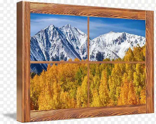 窗落叶松画框自然-秋季森林