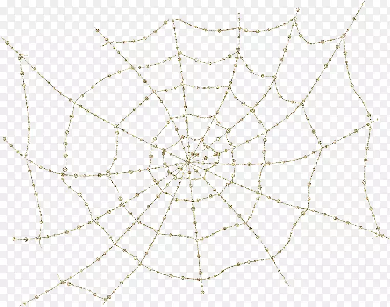 蜘蛛网线点对称-蜘蛛