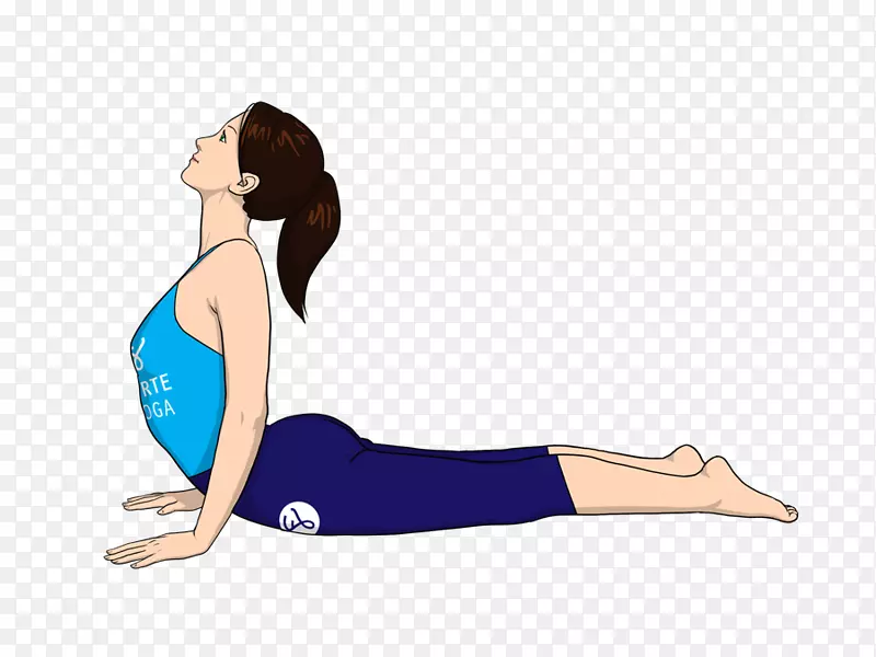 布贾加萨纳比克拉姆瑜伽锻炼腹部瑜伽